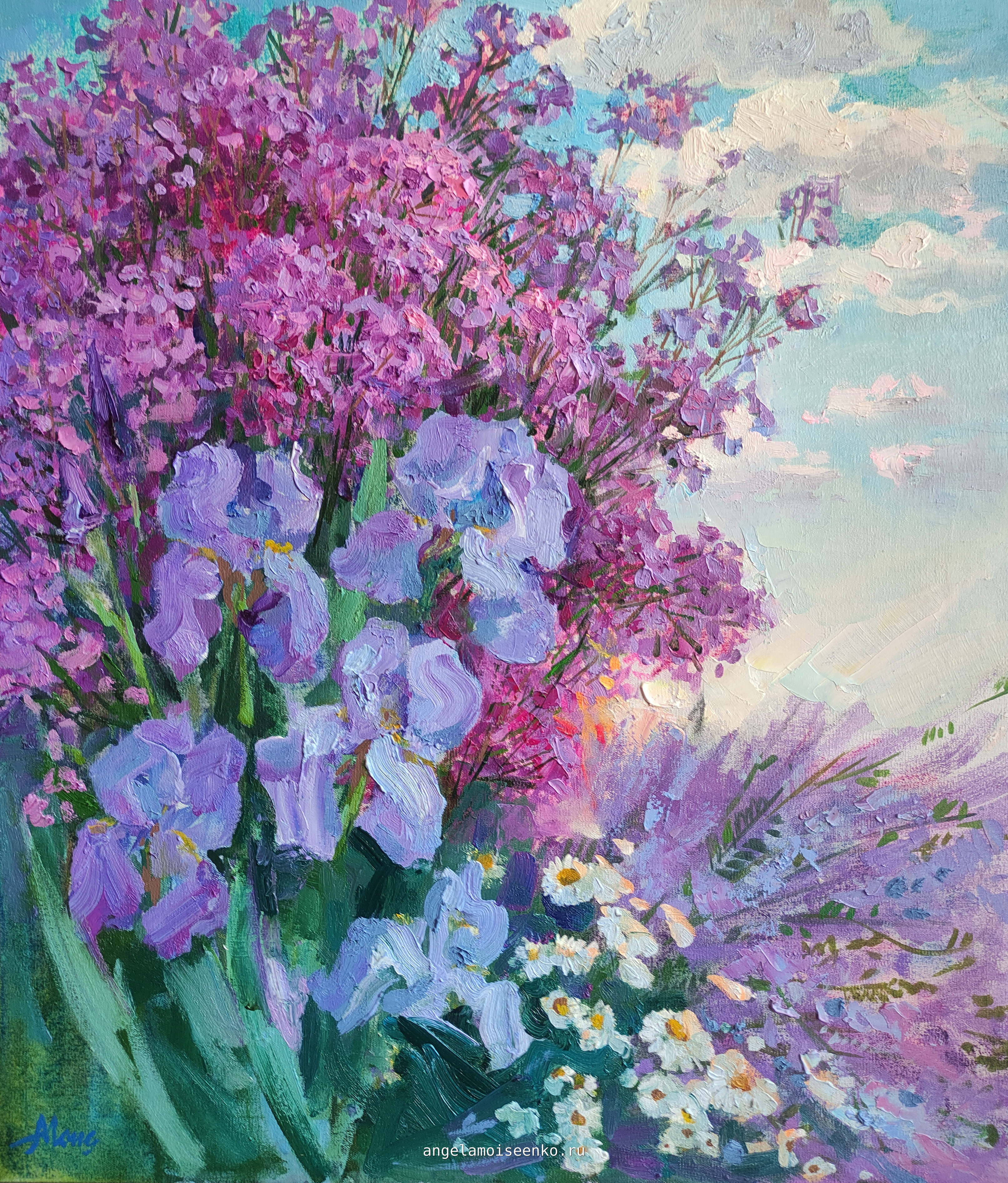 Вечерница