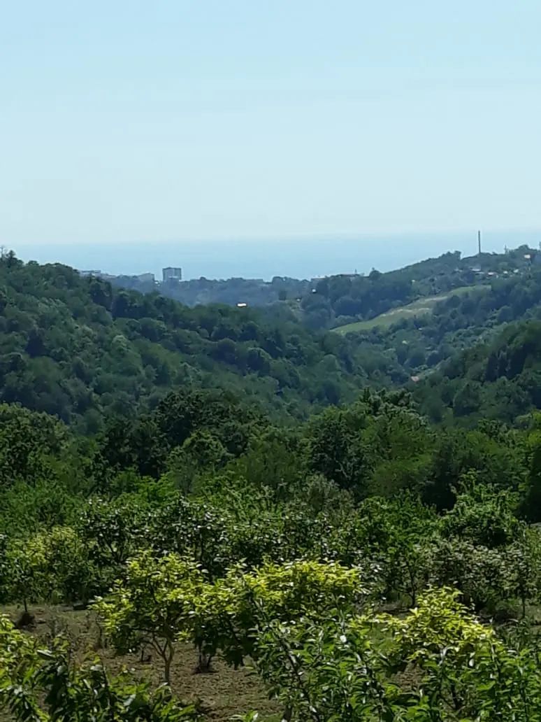 Сад 1 Га - фото 2