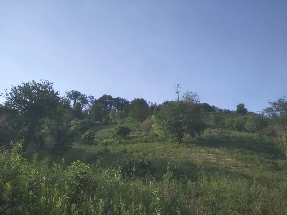 Участок 1 Га в Чайсовхозе