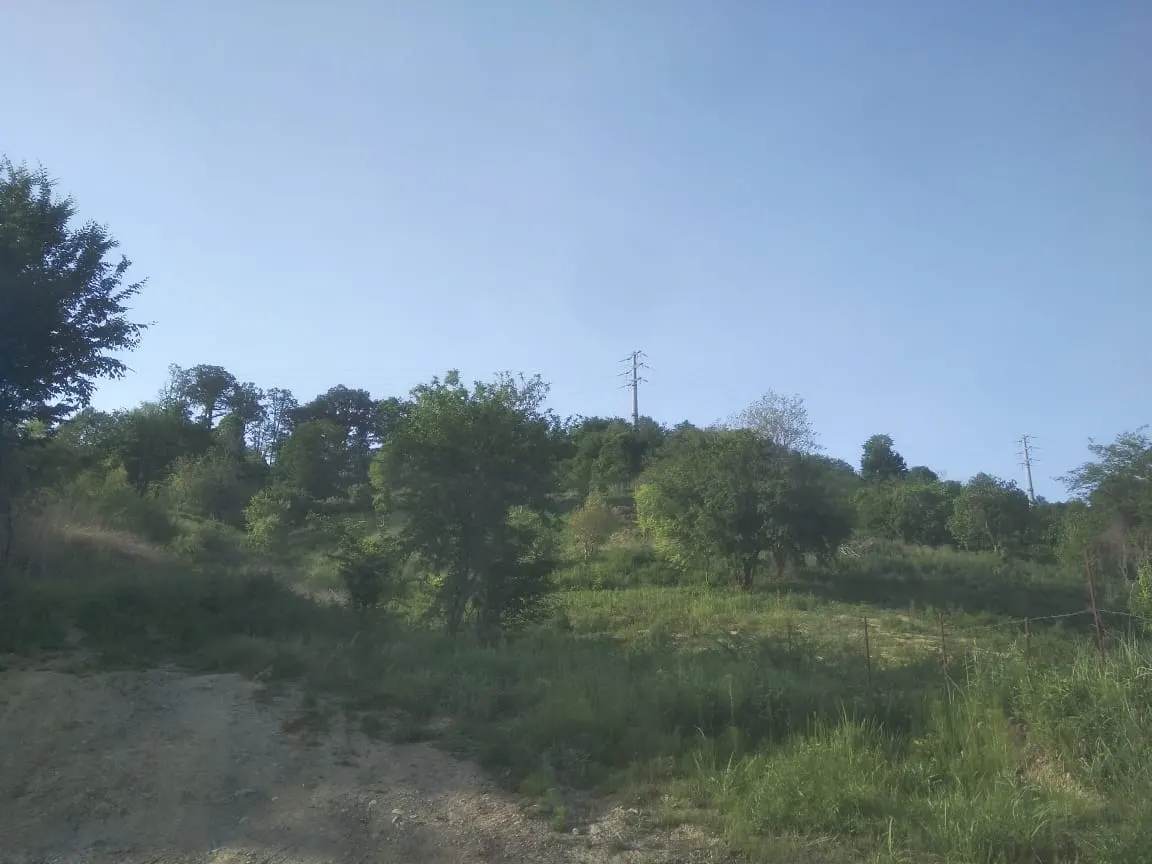 Участок 1 Га в Чайсовхозе - фото 2