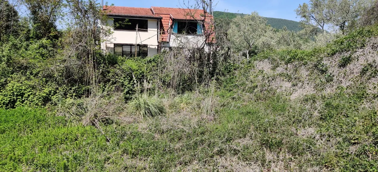 Участок в Хосте 10сот