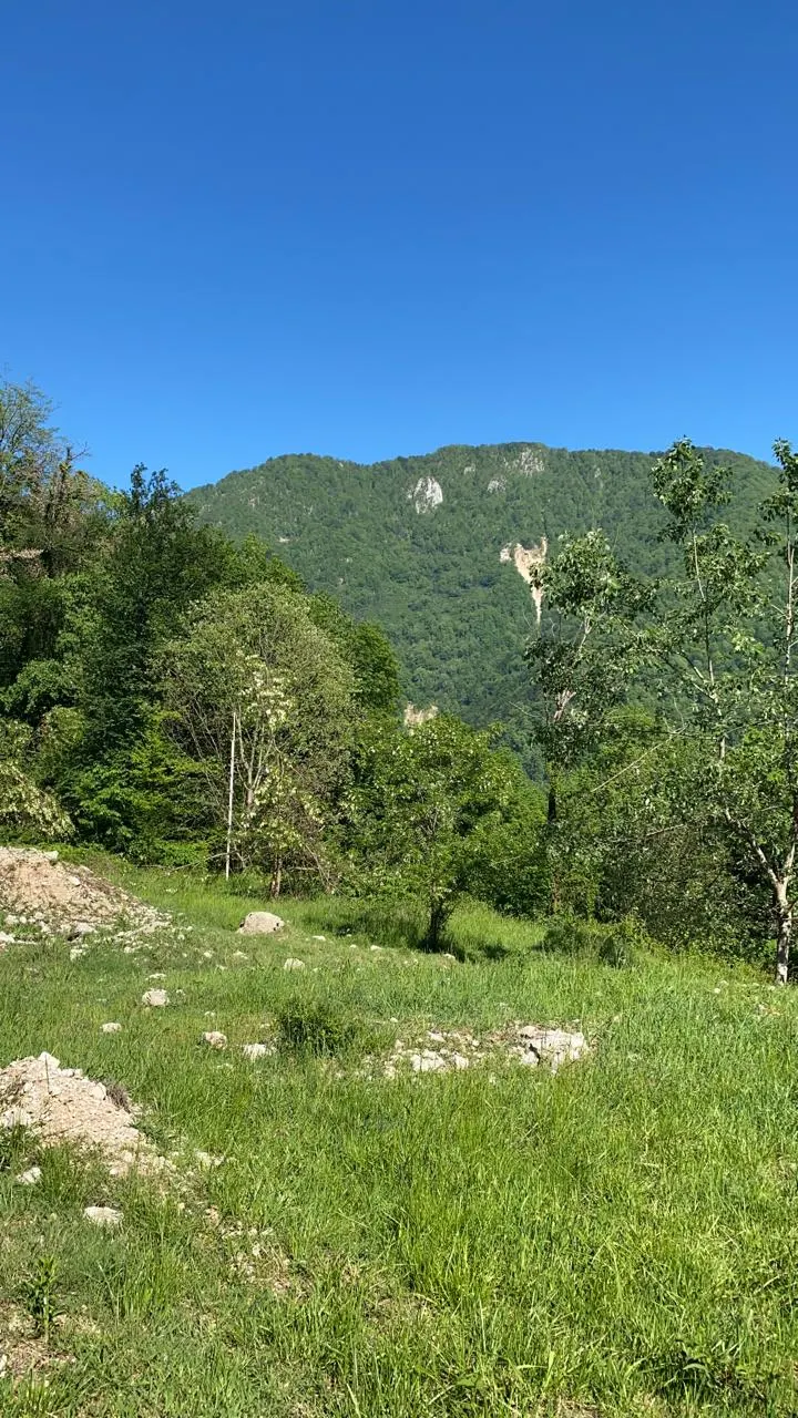 Участок в с. Монастырь