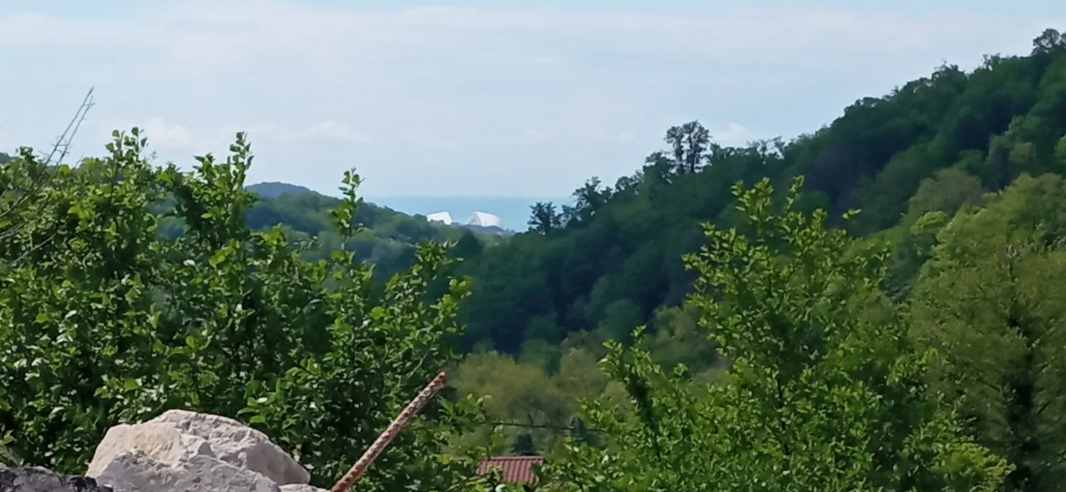 Продам земельный участок в Адлере - фото 4
