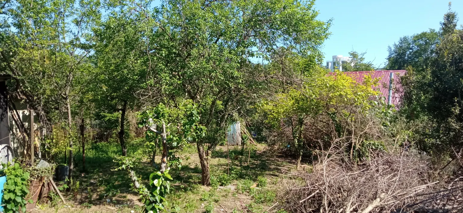 Продаю земельный участок в Адлере - фото 3