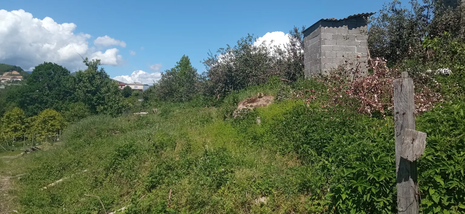 Продаю земельный участок в Адлере - фото 2