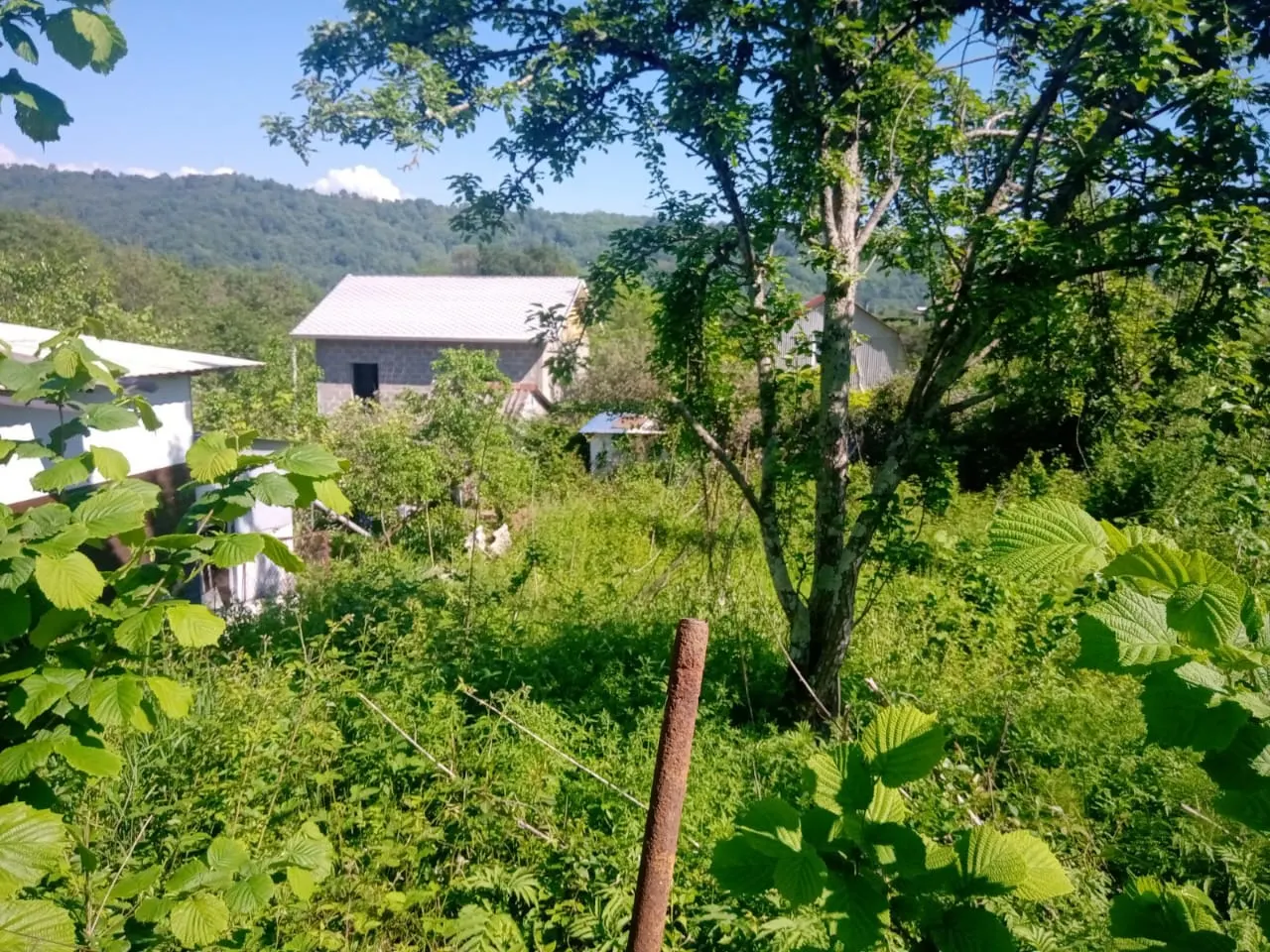Участок ровный - фото 3