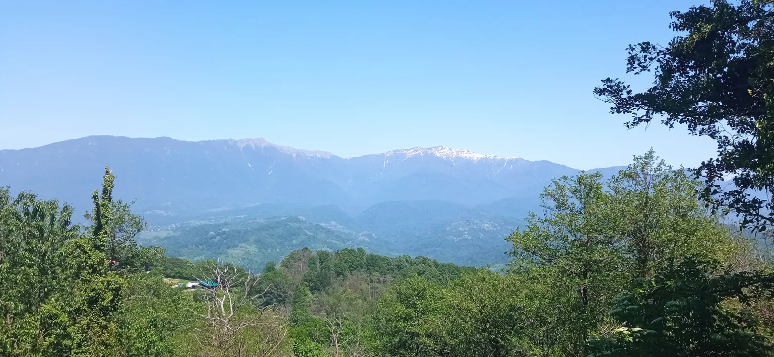 Продаю земельный участок в Адлере - фото 4