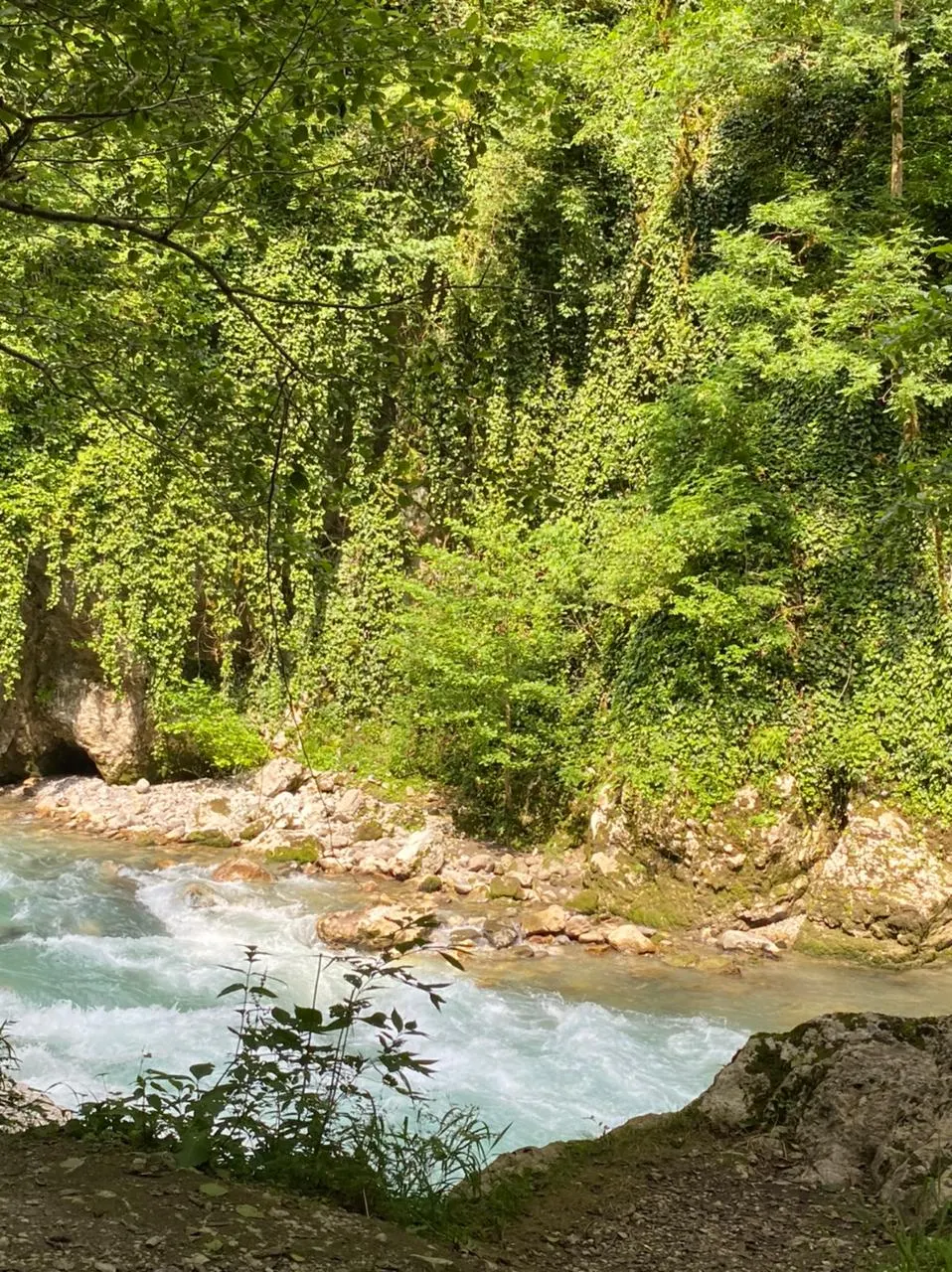 Участок, Сочи · Красная поляна