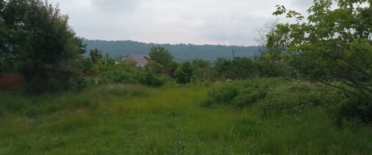 Продаю земельный участок в Адлере - фото 2
