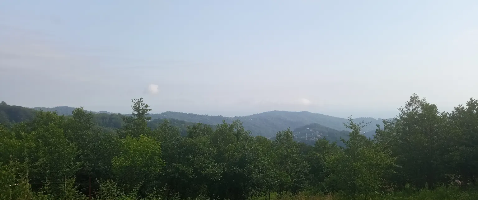 Продаю земельный участок в Адлере