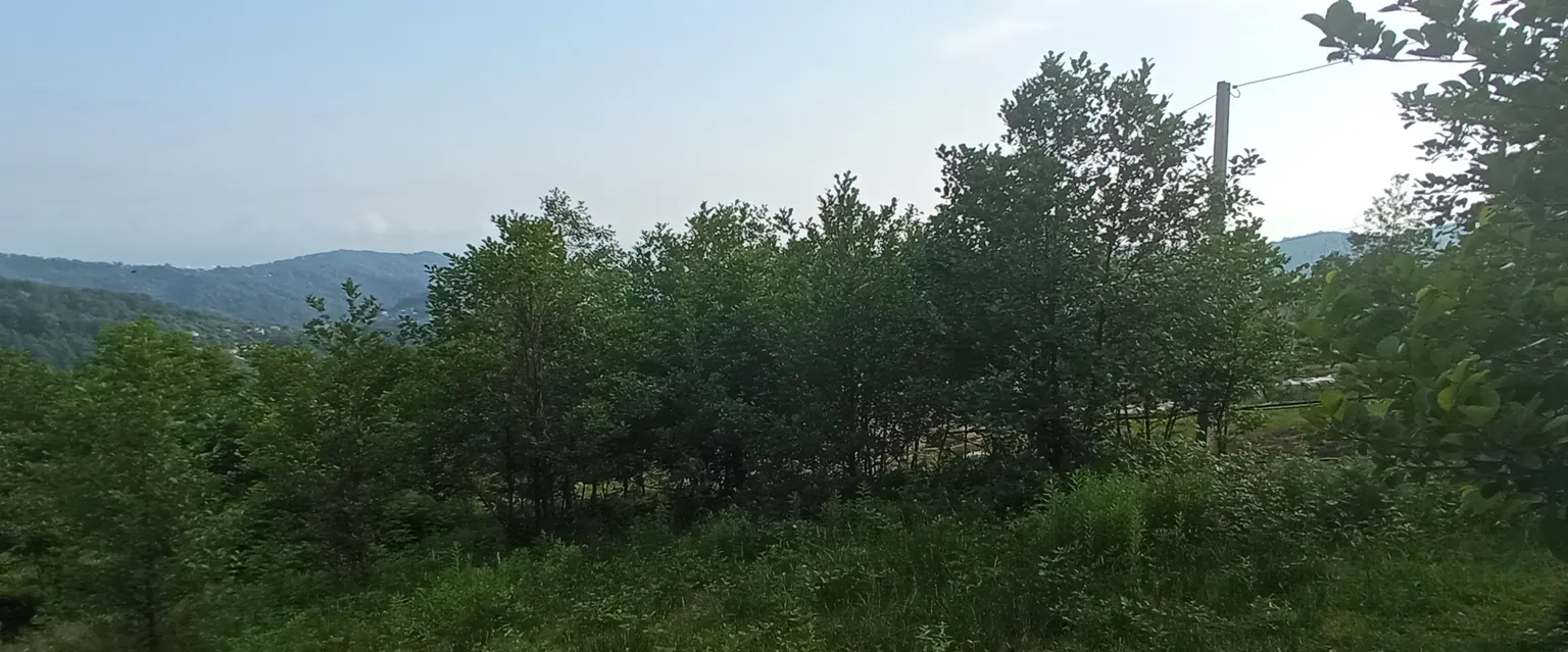 Продаю земельный участок в Адлере - фото 4