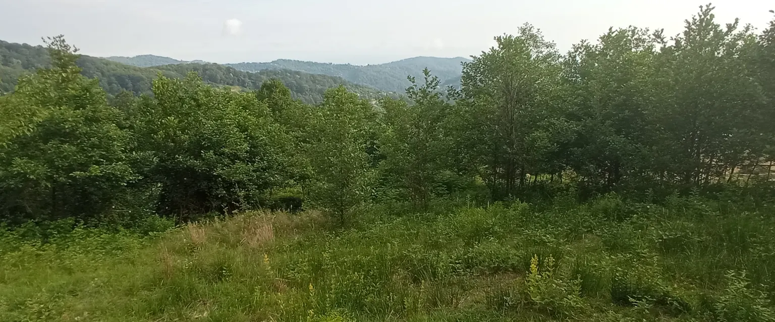 Продаю земельный участок в Адлере - фото 3