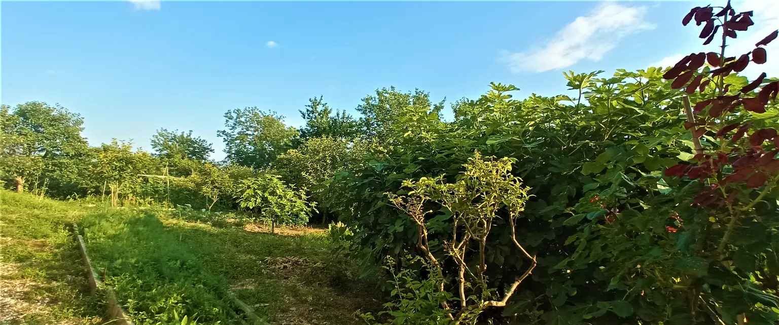 Продаю дом с земельным участком в Адлере - фото 3