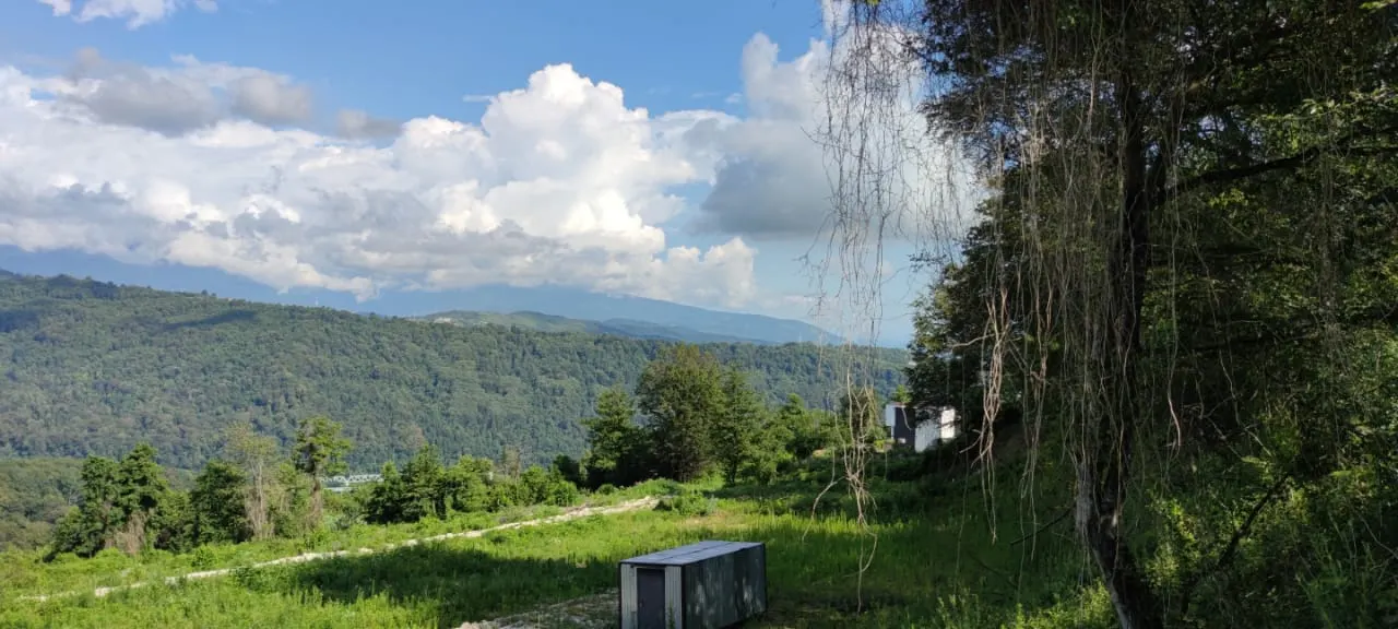Гектар в Высоком - фото 3