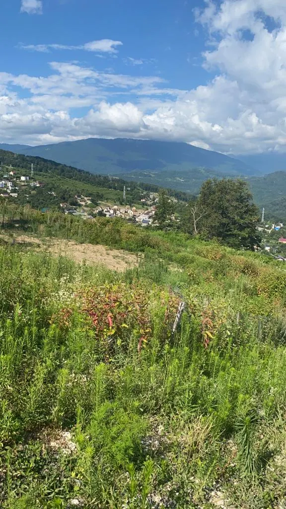 Участок в Высоком