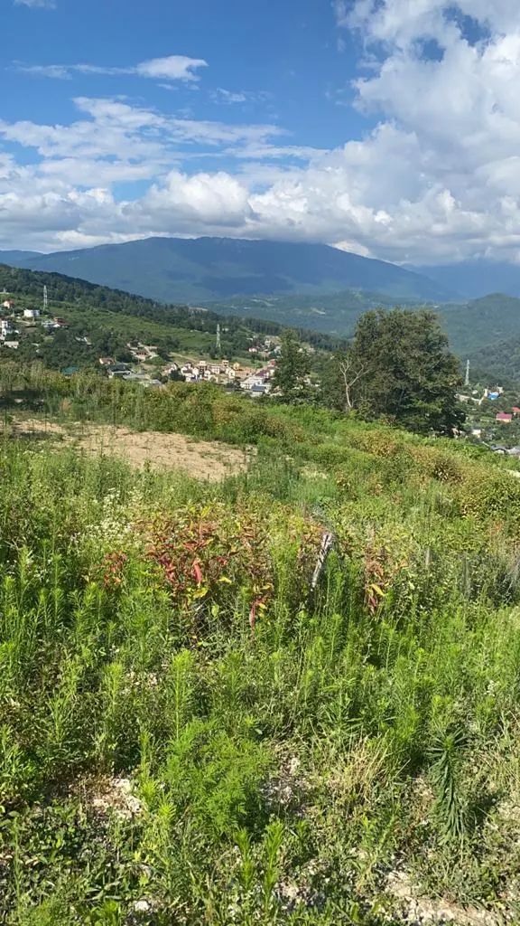 Участок в Высоком - фото 4