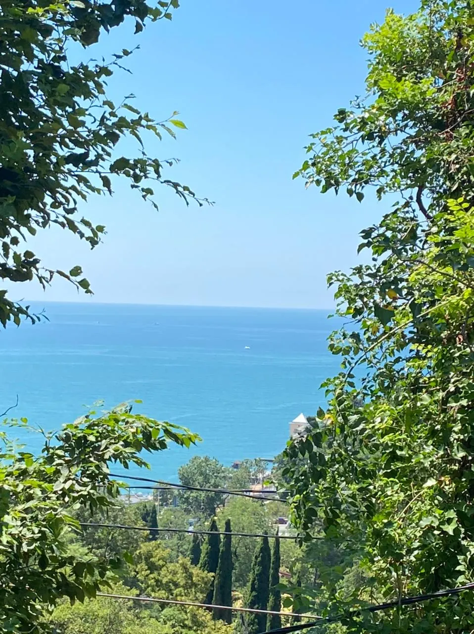 Участок к Адлере - фото 2