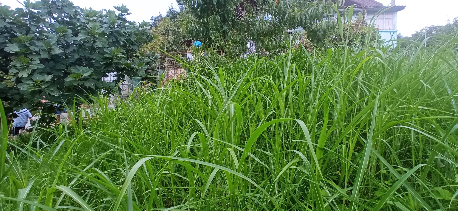 Продаю земельный участок в Галицыно - фото 2