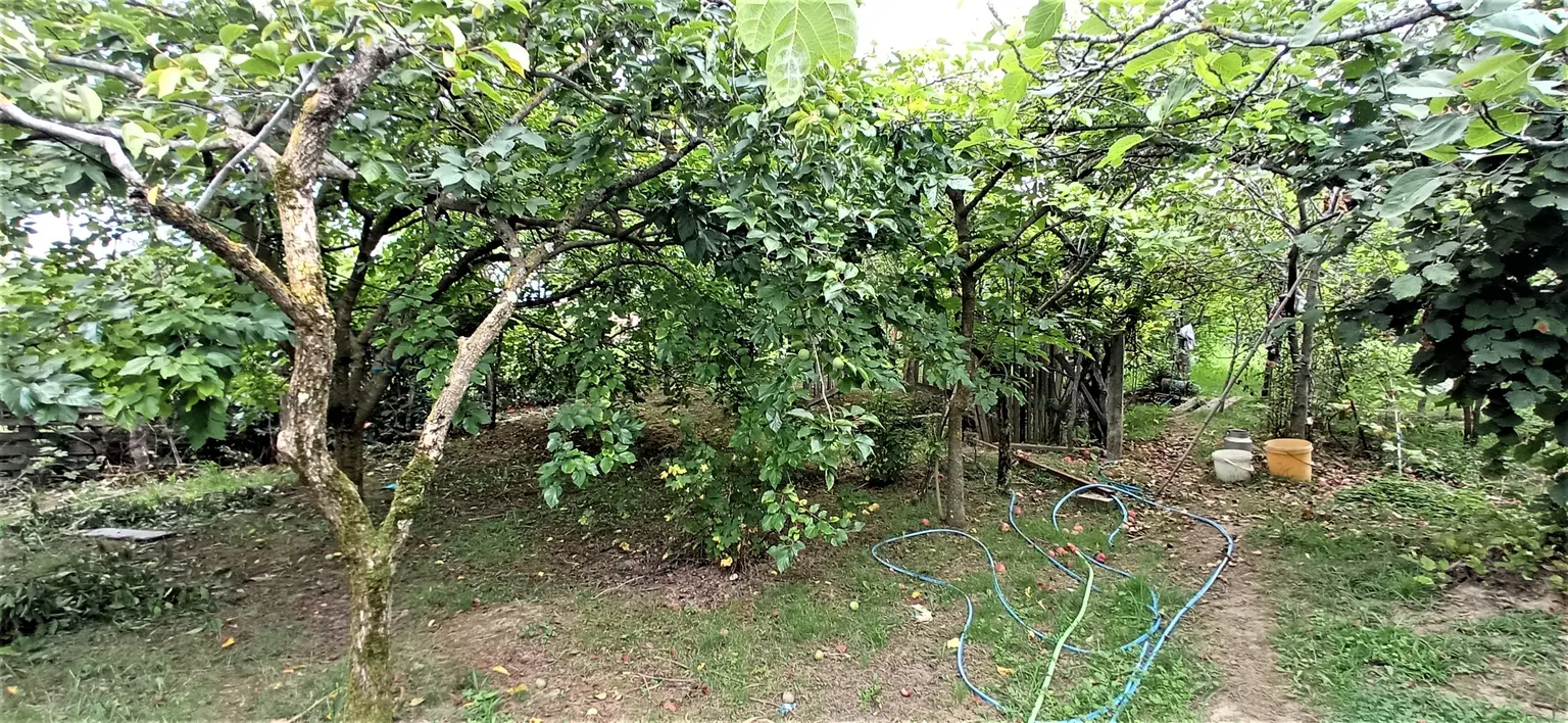 Продаю земельный участок в Адлере - фото 4