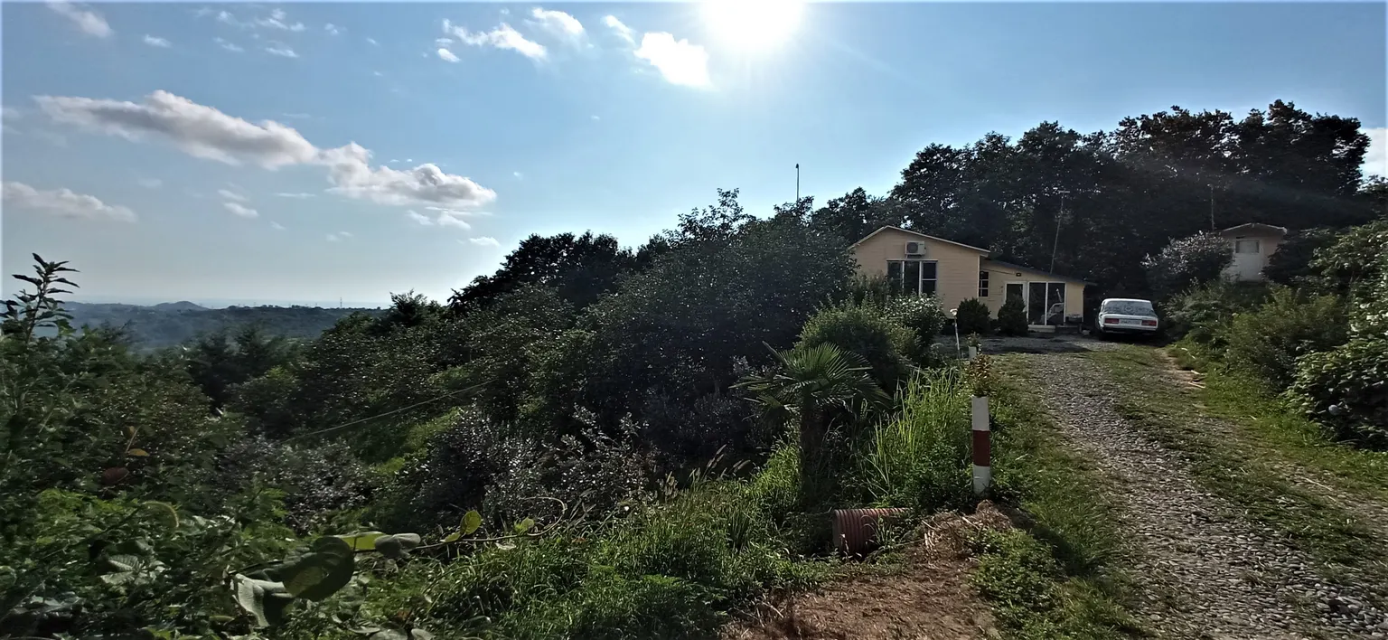 Продам земельный участок в Адлере - фото 4