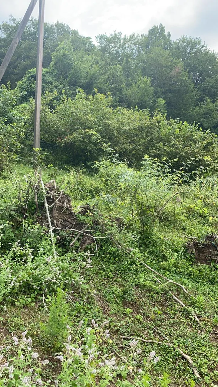 Видовой участок в Нижней Шиловке - фото 2