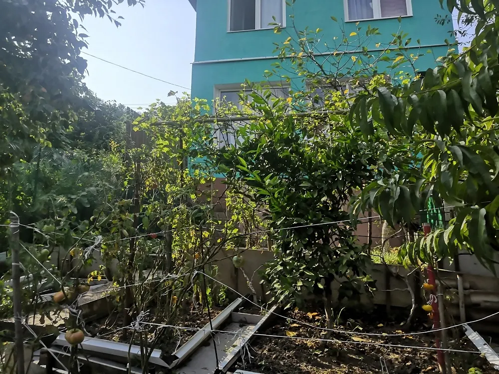 Продаю хороший дом в Сочи!