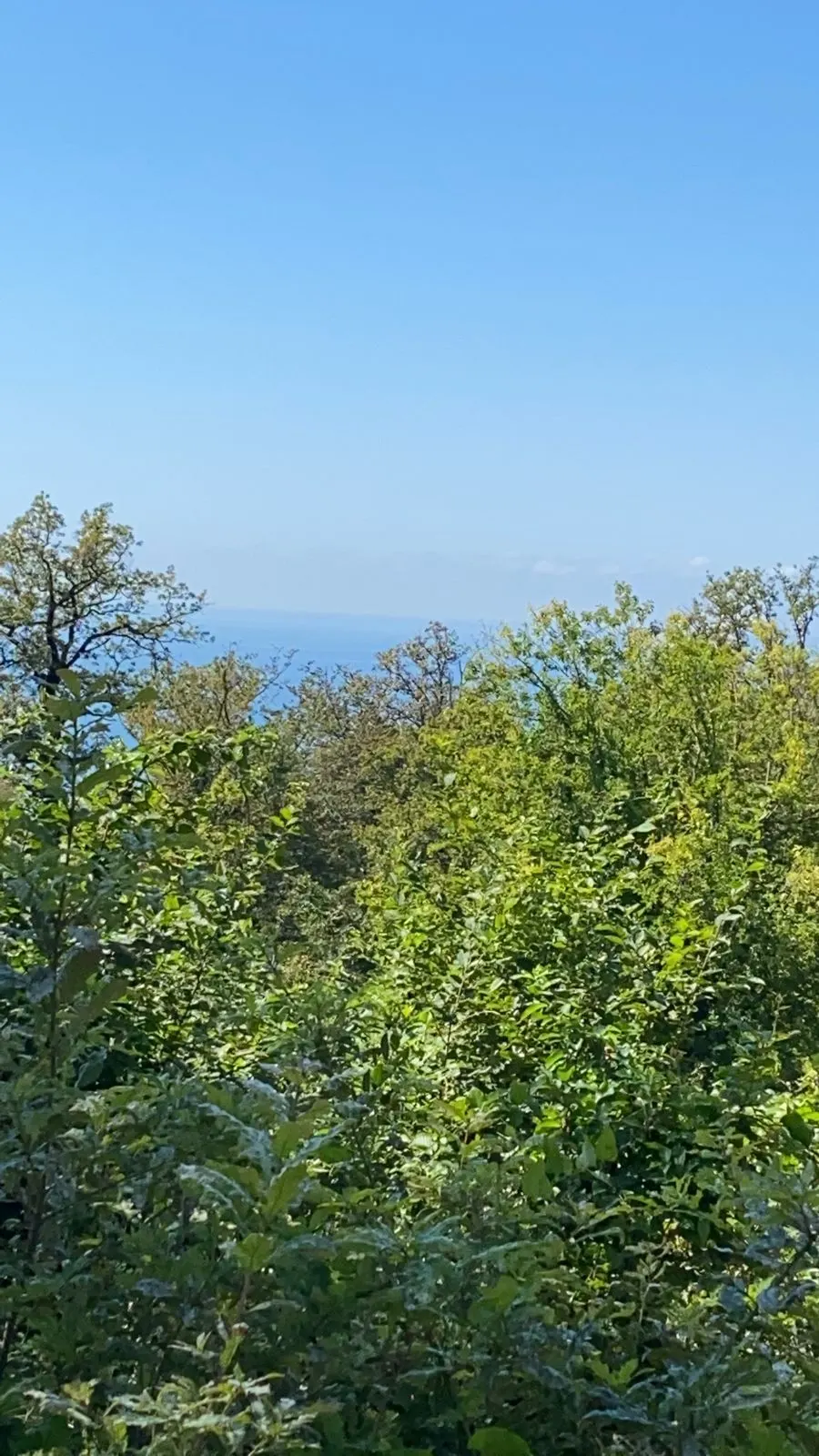 Участок на Ручье видном - фото 4