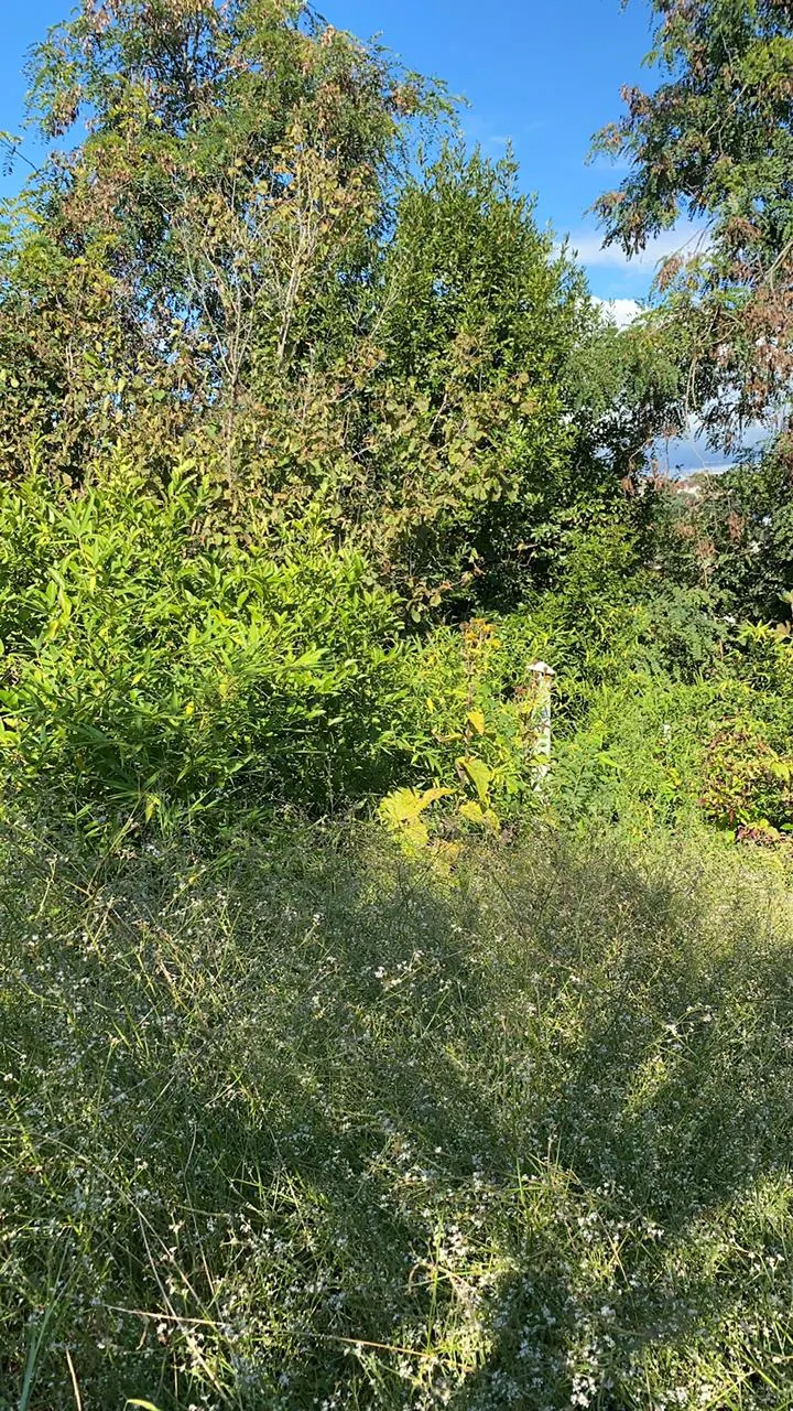 Участок на Петровской - фото 2