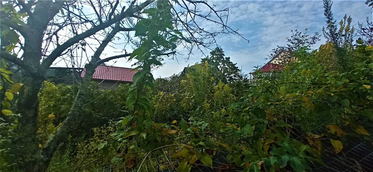 Продаю земельный участок в Адлере - фото 4