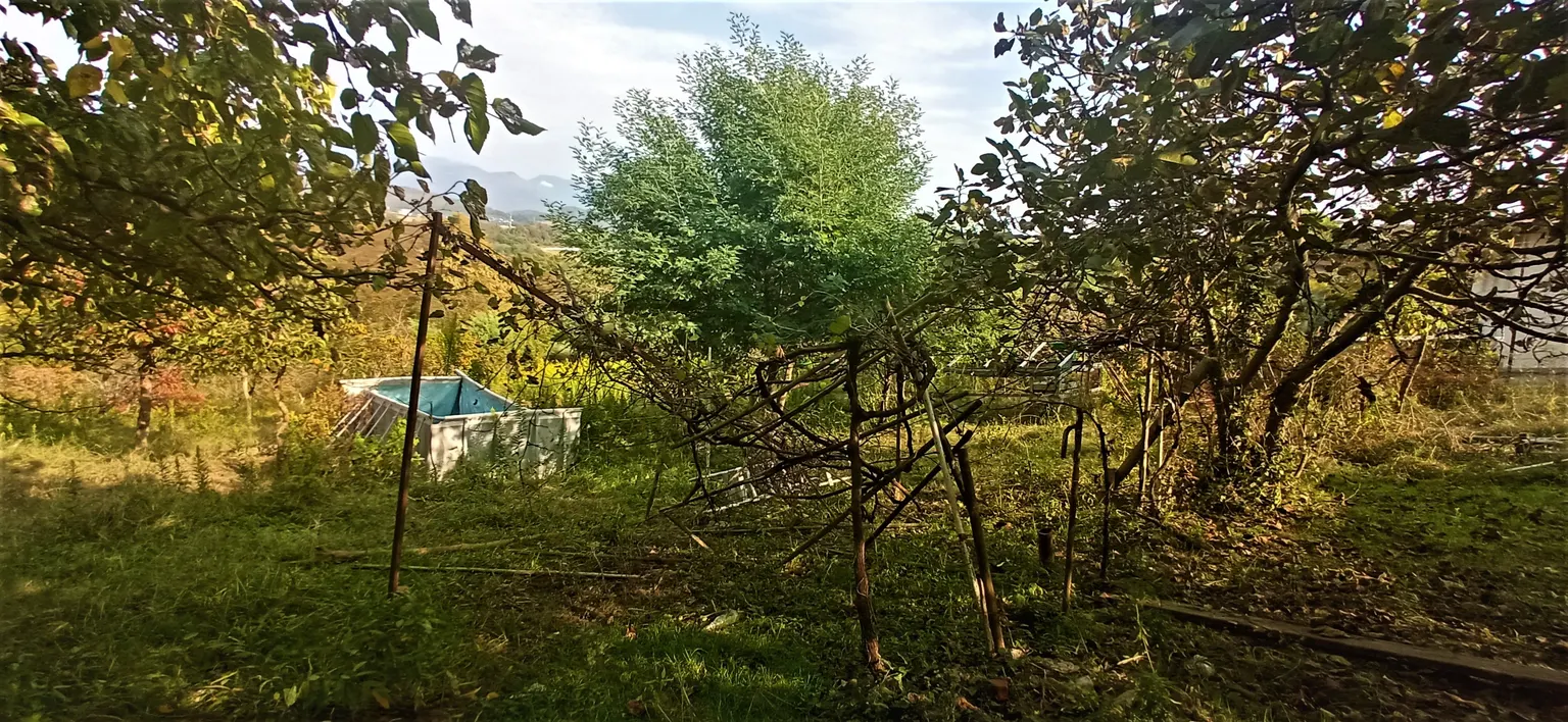 Продаю земельный участок в Адлере - фото 3