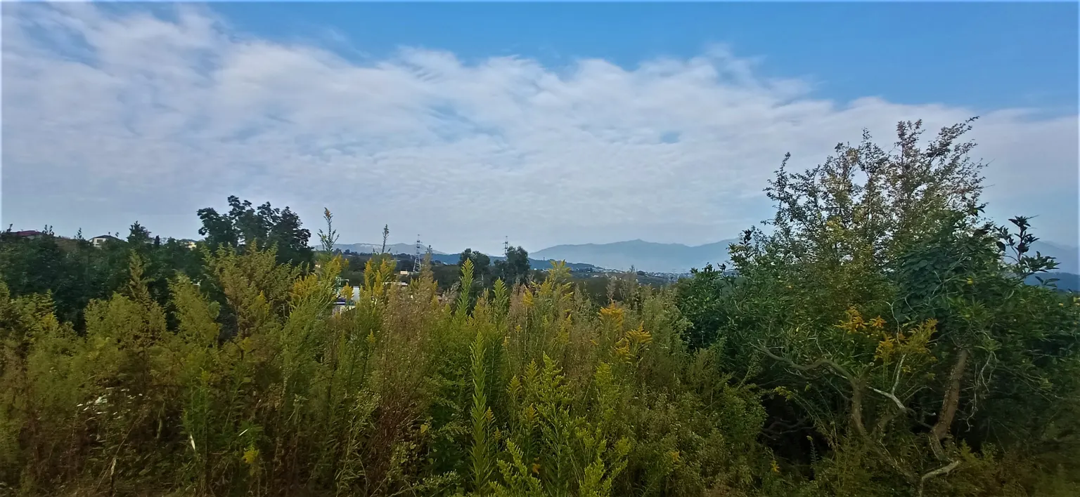 Продаю земельный участок в Адлере - фото 4