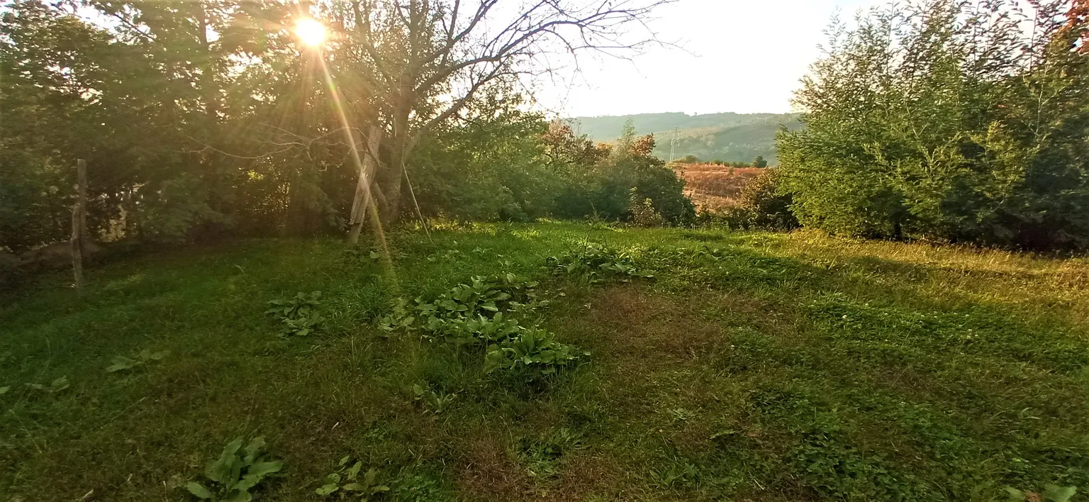 Продаю земельный участок в Адлере - фото 3
