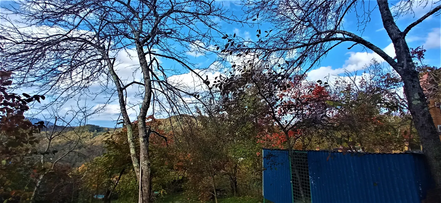 Продаю земельный участок в Адлере - фото 2