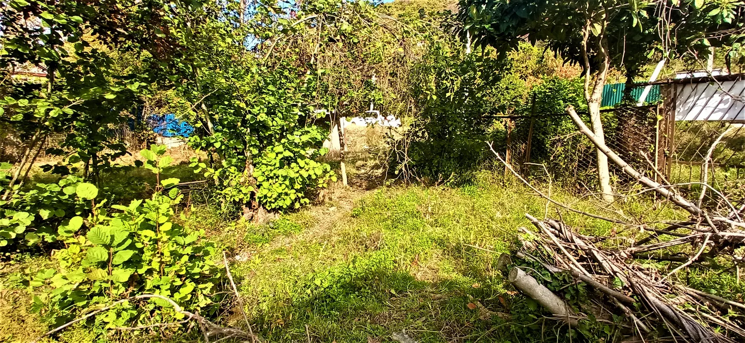 Продаю земельный участок в Адлере - фото 2