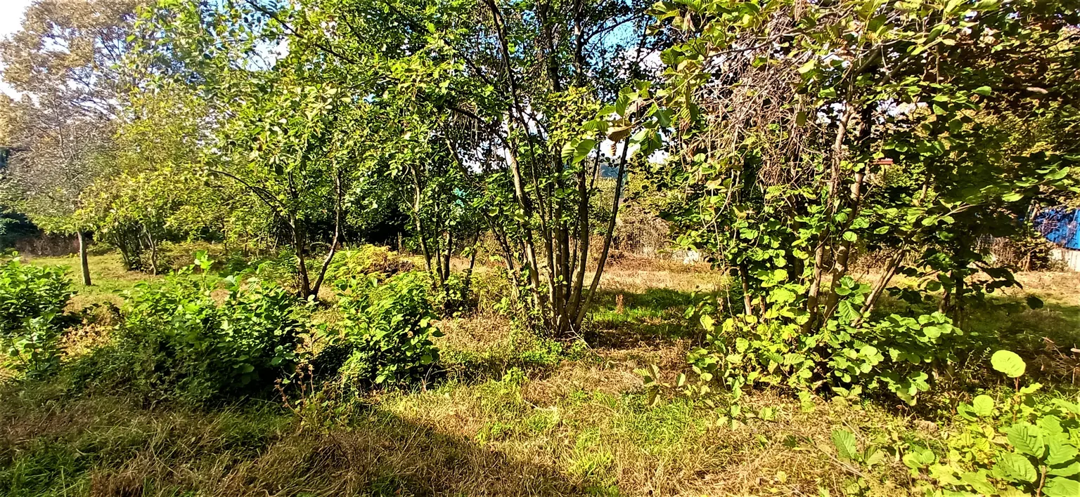 Продаю земельный участок в Адлере - фото 4
