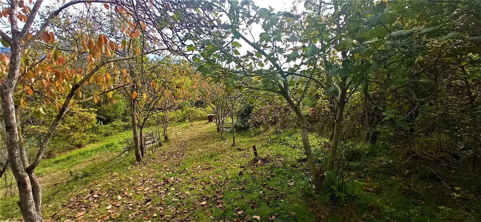 Продаю земельный участок в Адлере - фото 2
