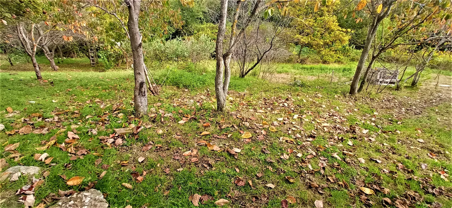 Продаю земельный участок в Адлере - фото 3