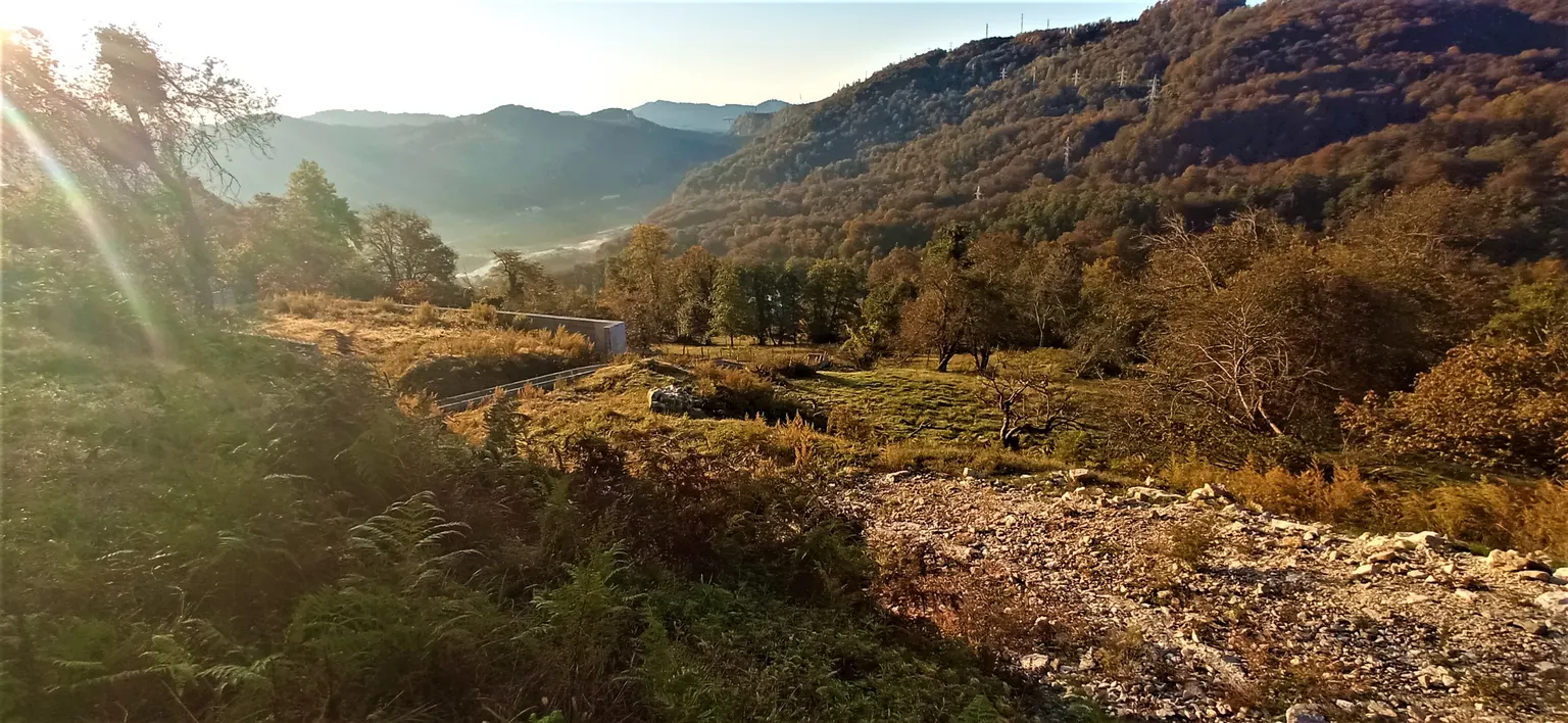 Продаю земельный участок в Адлере - фото 4