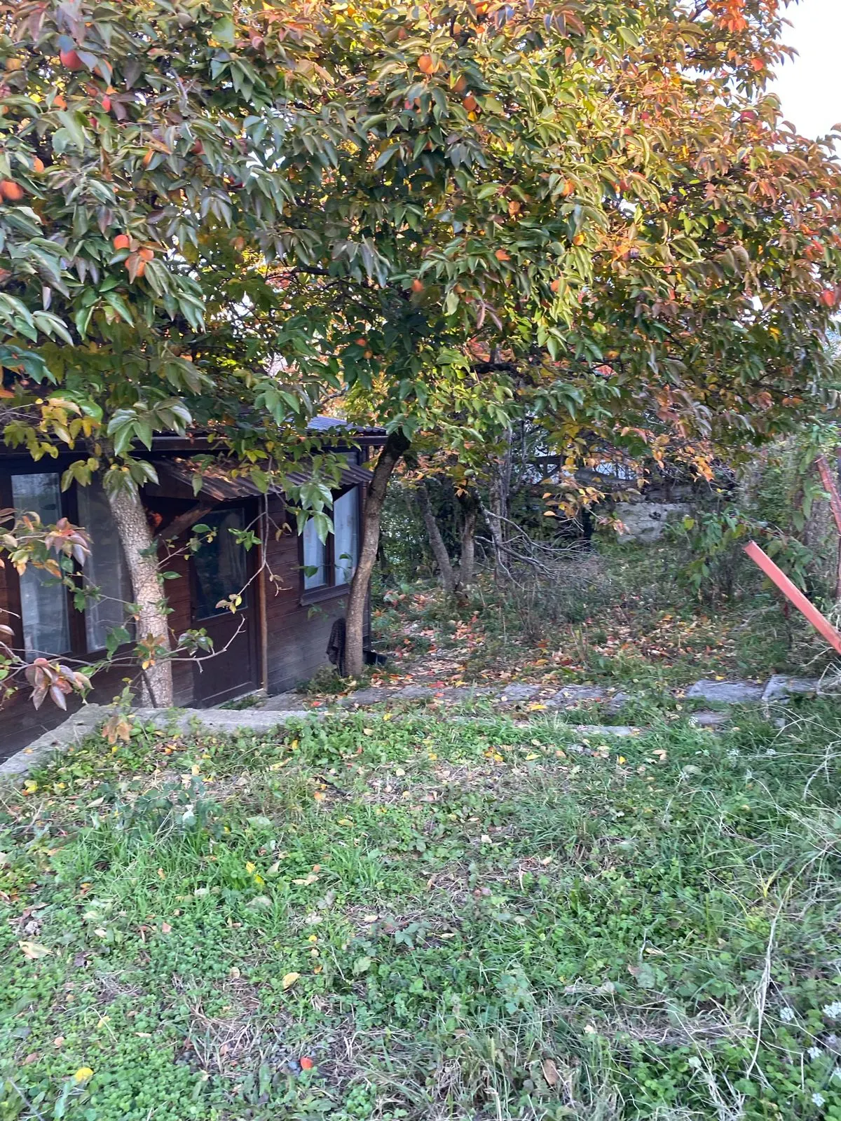 Дом, Сочи · Галицыно
