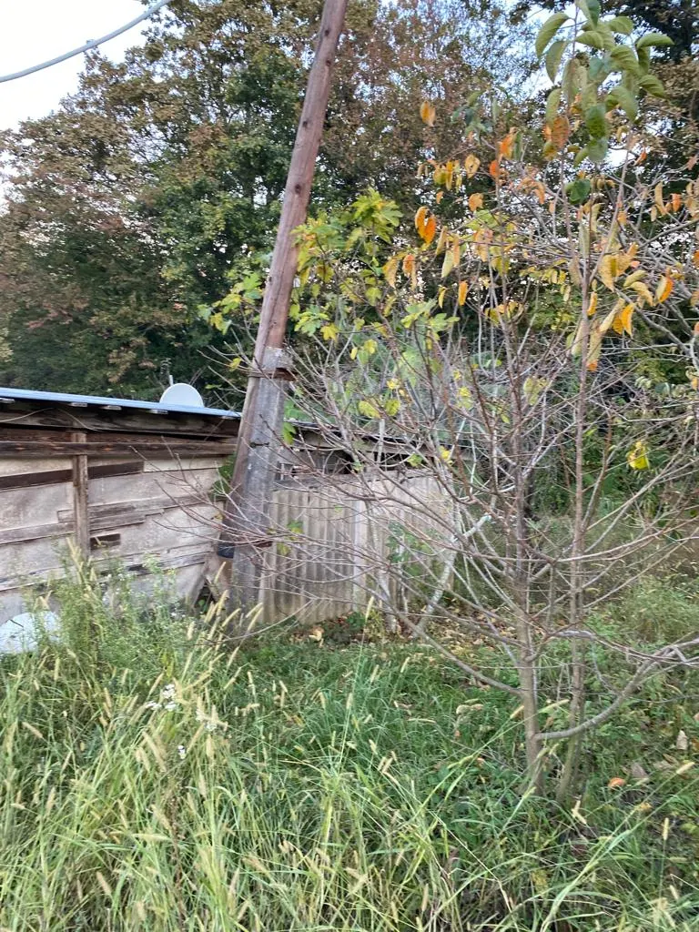 Дом и участок в Каштанах - фото 2