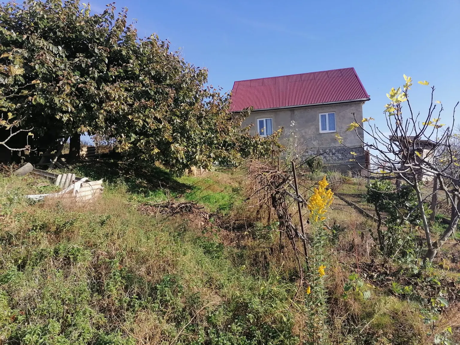 Участок в Шиловке - фото 3