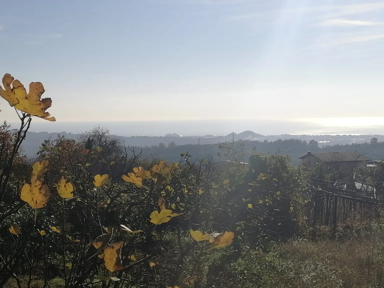 Участок в Адлере с видом на море - фото 4