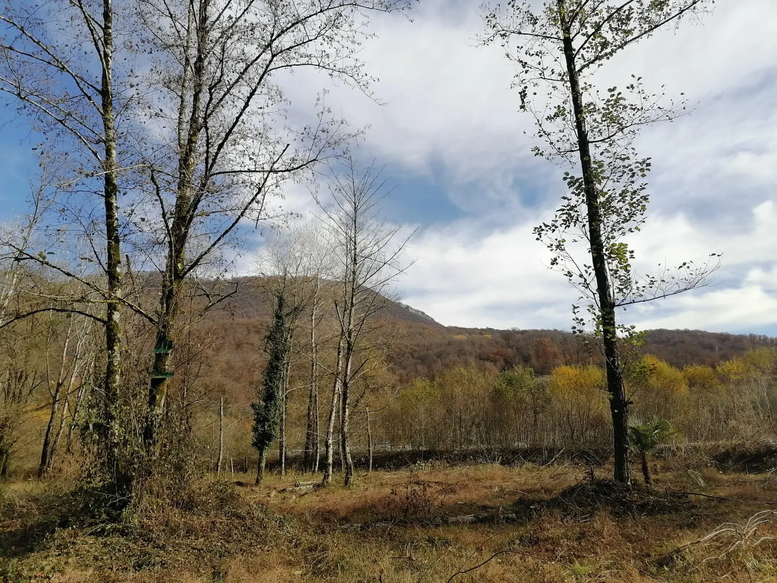 Участок, Сочи · Галицыно