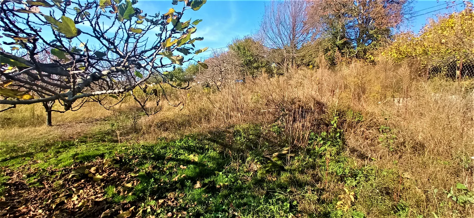 Продаю земельный участок в Адлере - фото 2