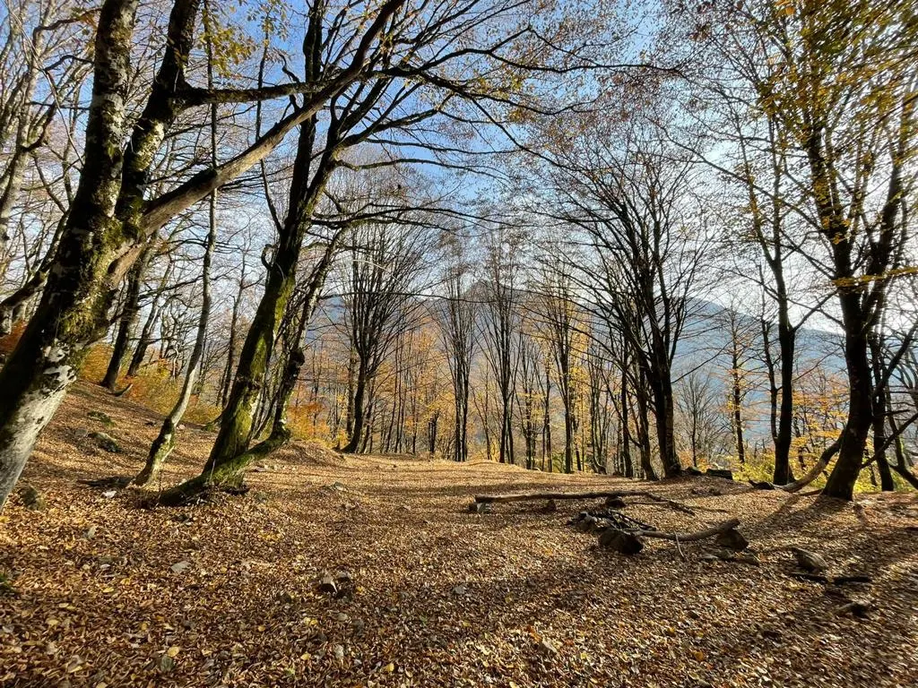 Участок в Красной Поляне - фото 3
