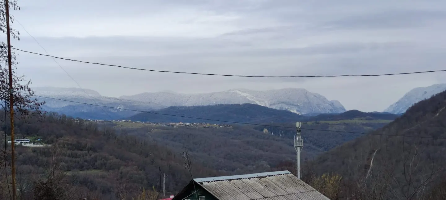 5 соток в Каштанах - фото 3
