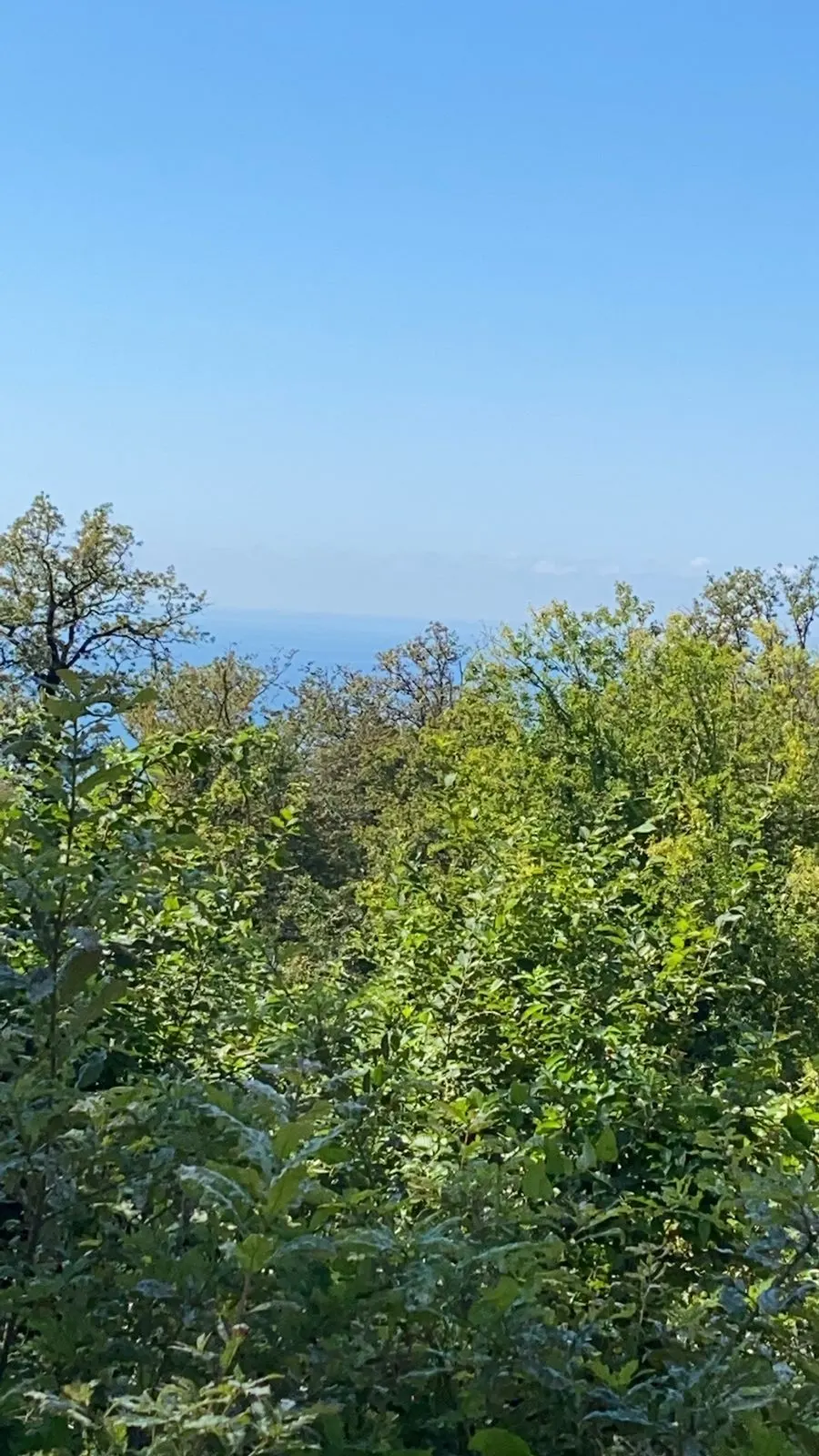Участок на Ручье Видном