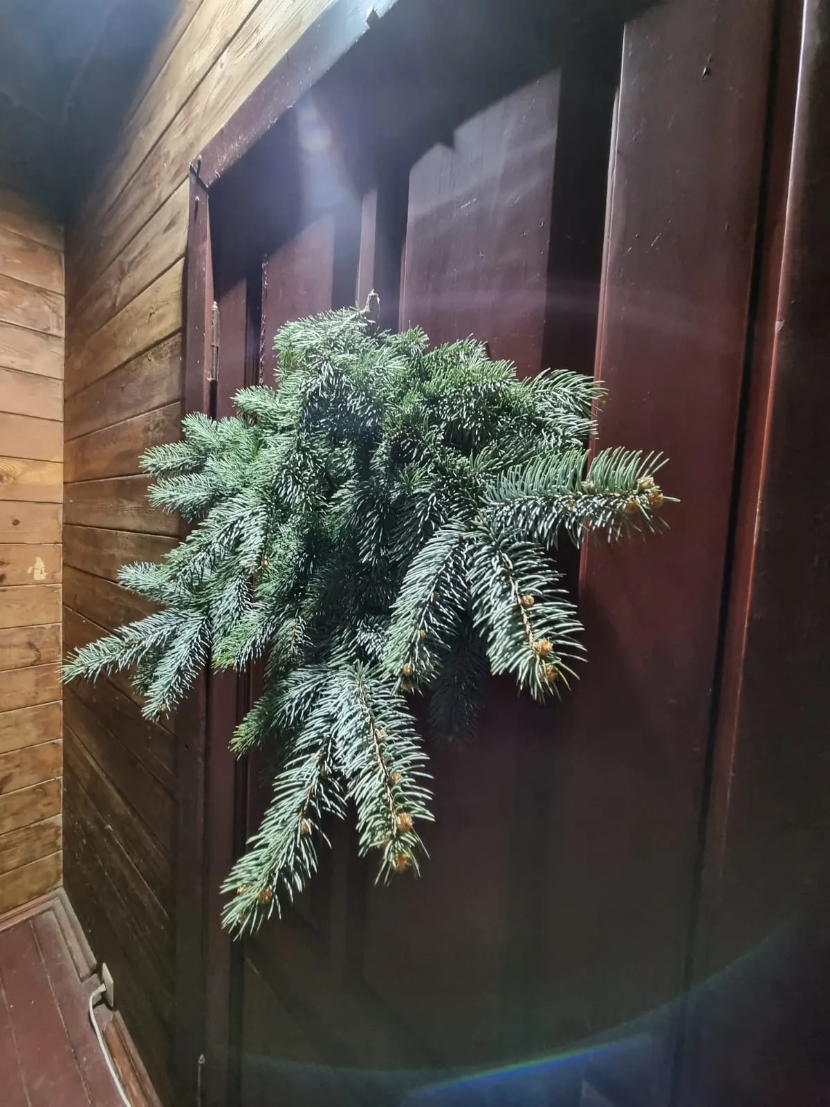 Участок в Красной поляне - фото 3
