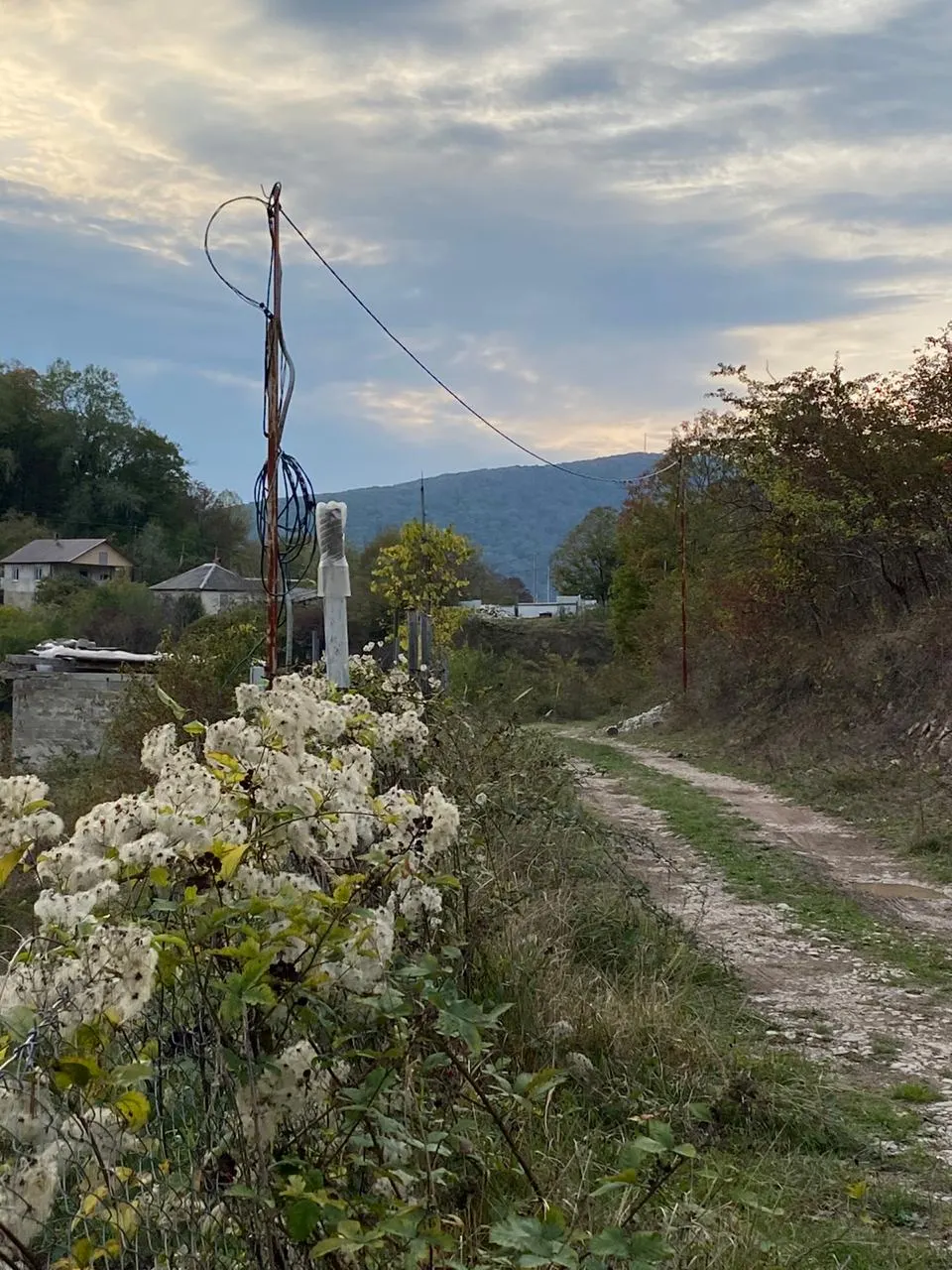Участок в Черешне - фото 2