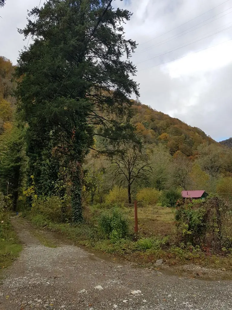 Участок в Адлере на Блиново - фото 2